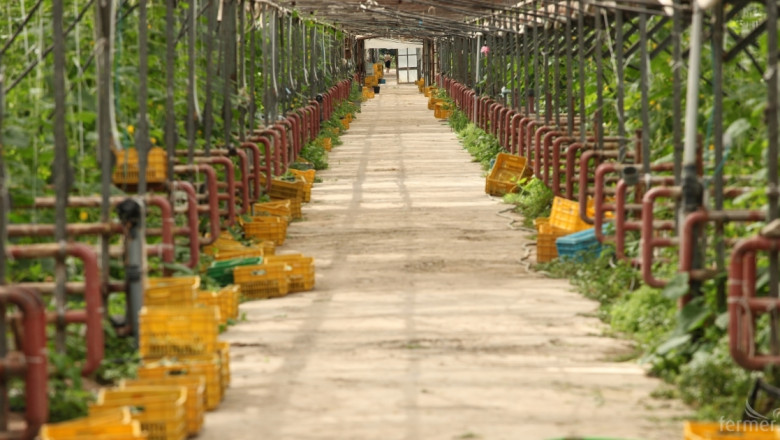 Агроиновации: Производство на зеленчуци чрез ресурсна ефективност