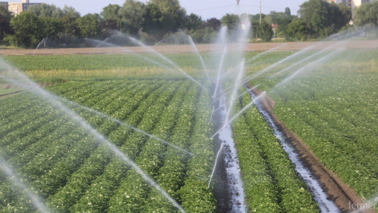 Агроиновации: Иновативно управление на напояването и борбата с  болести по лозите