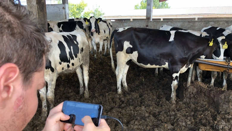 От бъдещето: Приложение показва теглото на говедата