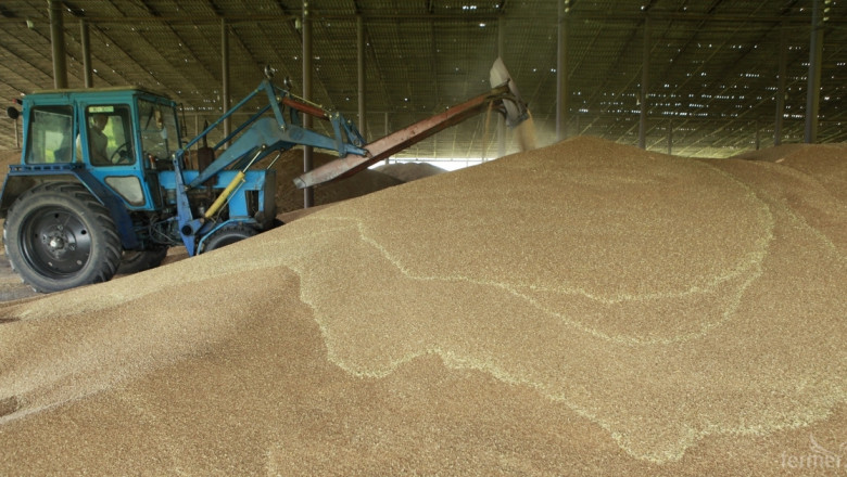Зърнопроизводителите от Видинско: Вперили сме погледи в слънчогледа 