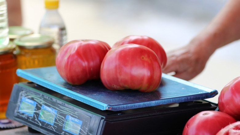 Добра година за доматите – добивите са двойни