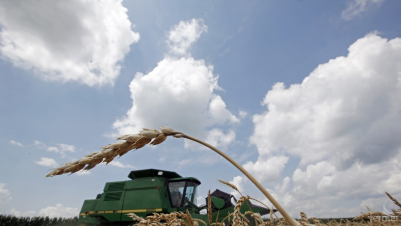 Реколтата от пшеница у нас - с 8% по-слаба