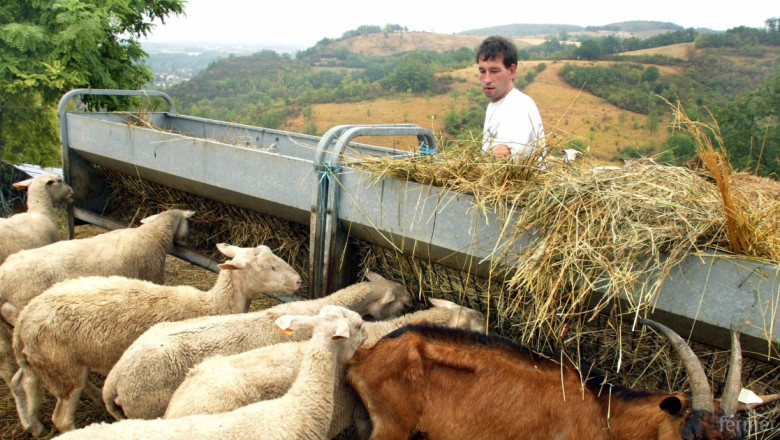 Недоверие: Фермери не пускат ветеринари при животните