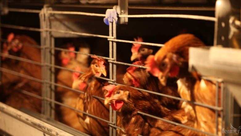 ЕС забрани вноса на птиче месо от Русия