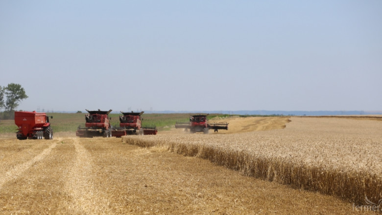 Спад на средните добиви от зърно на декар