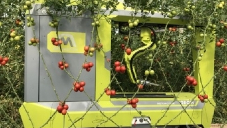 MetoMotion - роботът, който прибира домати 