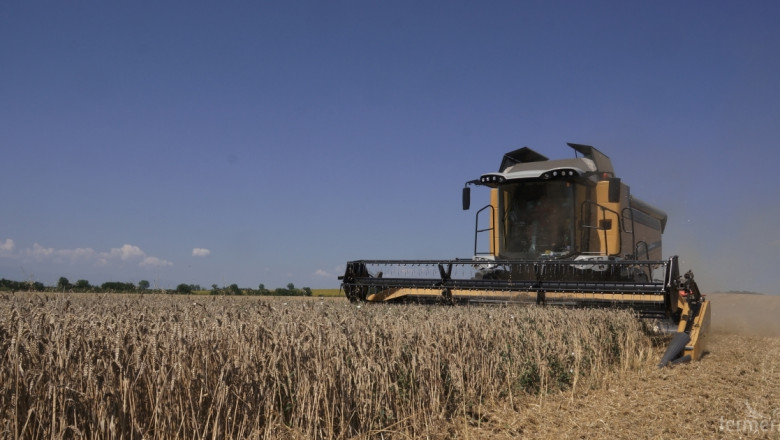 По-слаба реколта от пшеница в Русия заради сушата