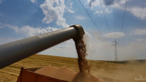 Пшеницата е изложена на стрес от климата - Agri.bg