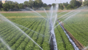 Порожанов: Фермерите не плащат загубите на вода за напояване - Agri.bg