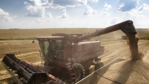 Чакат по-слаби добиви от пшеница това лято - Agri.bg