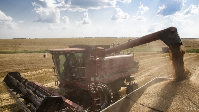Чакат по-слаби добиви от пшеница това лято