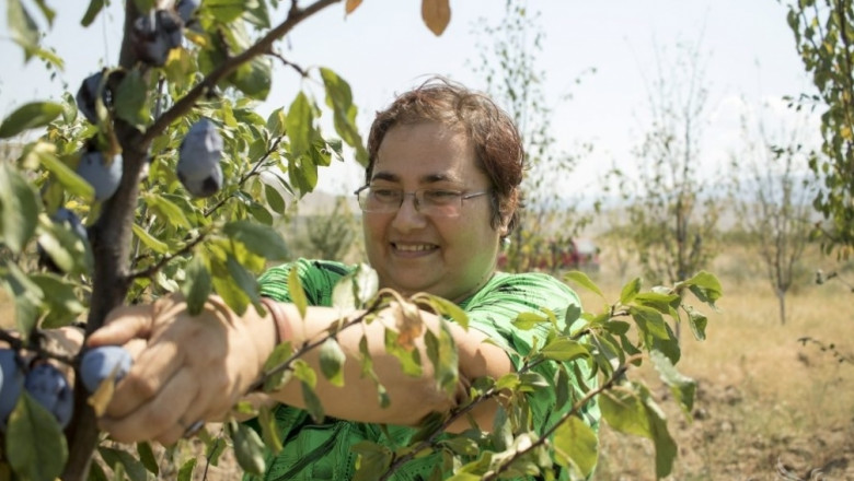 Дамите в селското стопанство: Денка Георгиева