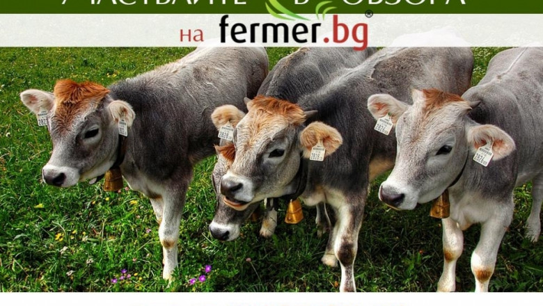 Станете част от специалното издание на Фермер.БГ за животновъдство 