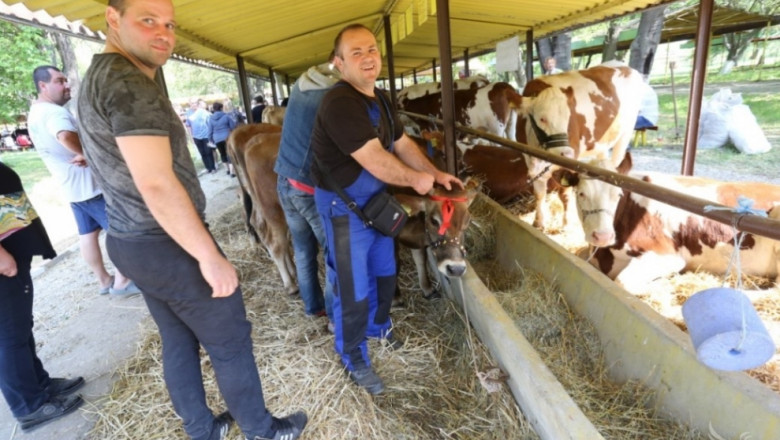 Животновъдният аукцион в Сливен да стане традиционен