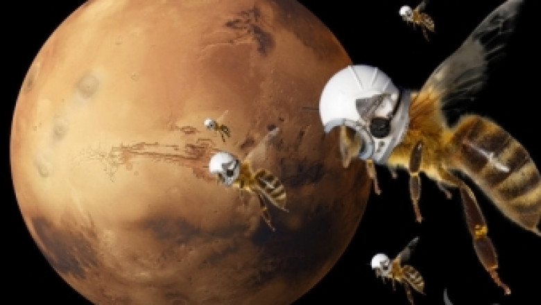 Пчели-роботи ще изследват Марс