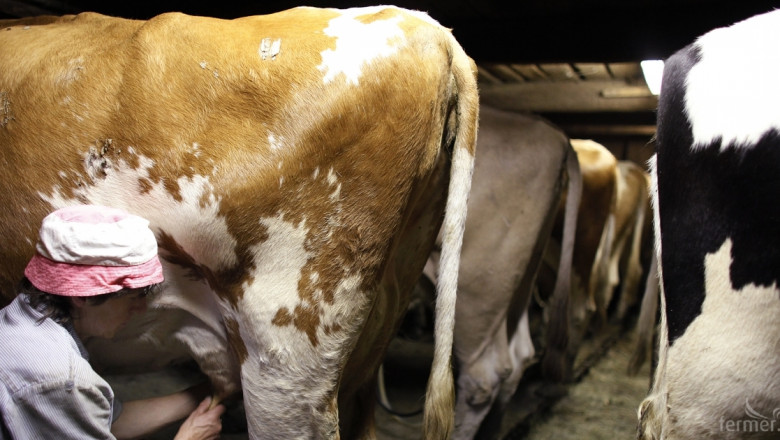 Прогноза: Суровото краве мляко ще се изкупува по 0.58-0.60 лв./л