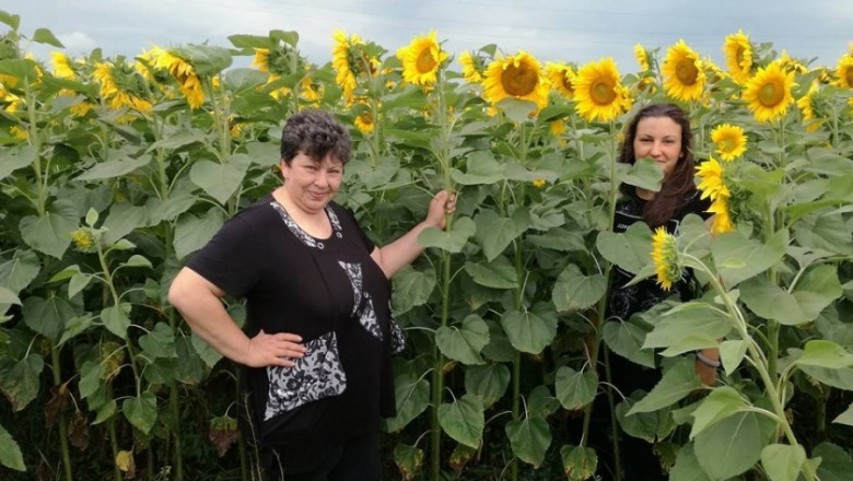 Дамите в селското стопанство: Добринка и Мария Владимирови