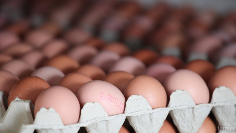 Яйцата в България през тази година са с по-ниски цени