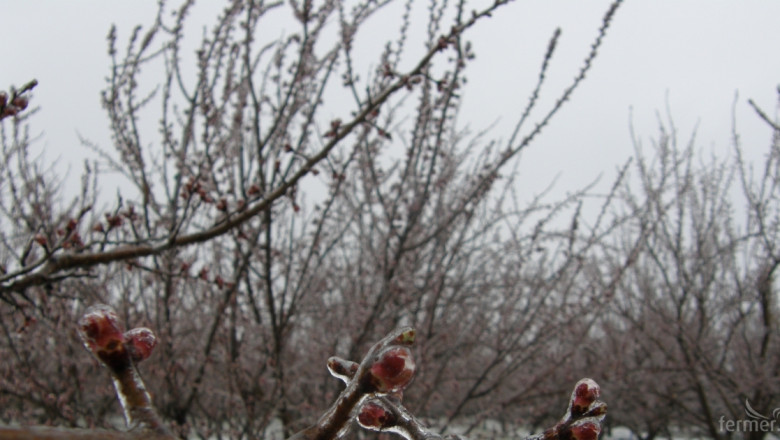 Агрометеорология: Още студ и сняг ни чакат 