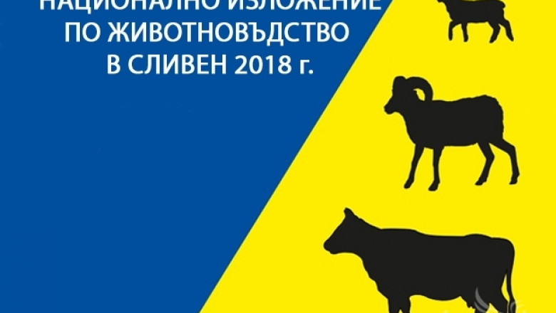 Очакват участници от цяла Европа на животновъдното изложение в Сливен