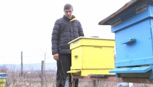 От първо лице: Как помага пчеларската програма? - Agri.bg