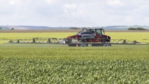 Площите с пшеница у нас намаляха в условията на интензивно производство - Agri.bg