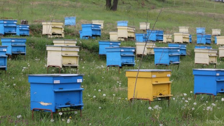 Пчелари настояват местоположението на кошерите да бъде тайна