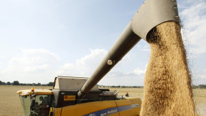ЕК: България рязко е увеличила базата си за съхранение на зърно - Agri.bg