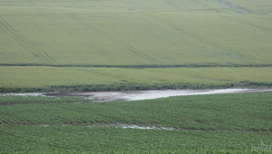 Увеличават се наводнените земеделски земи в Брегово и Иново (обновена) - Agri.bg