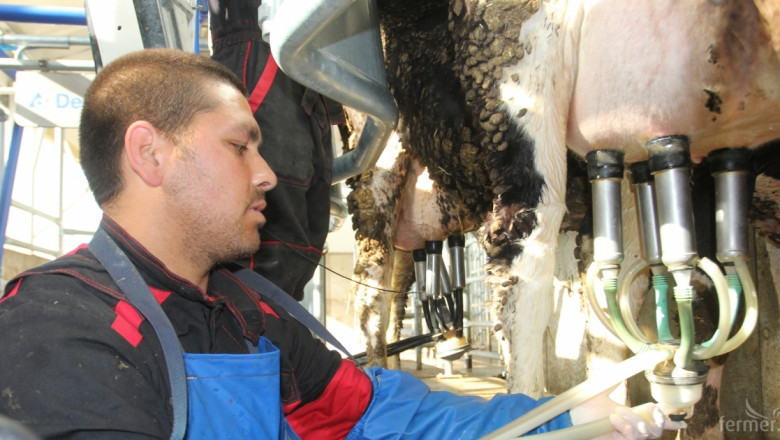 Експерти: Броят на млечните крави ще достигне близо 275 хиляди