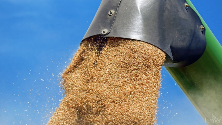 Продължава зимната пауза в износа на пшеница
