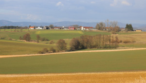 Чужденци са купили 43% от обработваемата земя в Румъния - Agri.bg