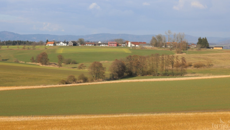 Чужденци са купили 43% от обработваемата земя в Румъния
