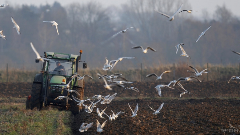 Добруджанският фермерски съюз отбелязва първата си година 