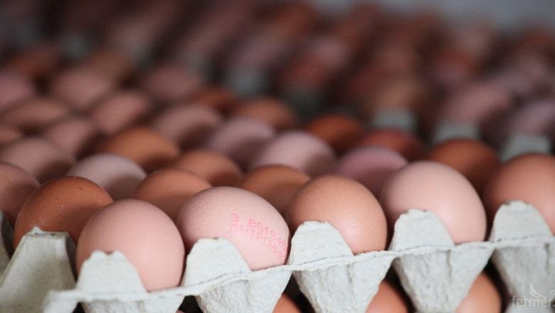 Яйцата на едро и дребно поевтиняват почти в цялата страна