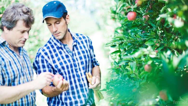 Агроиновации: Био и конвенционални производители на ябълки обединяват усилия 