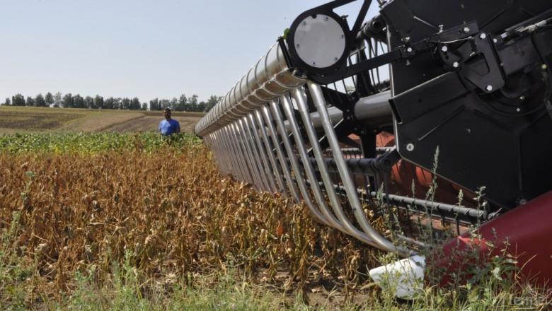 USDA намали прогнозата си за производството на маслодайни култури