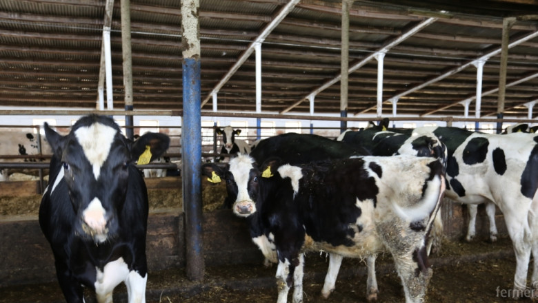 Робот храни, чисти и дои по 60 крави на ден в САЩ