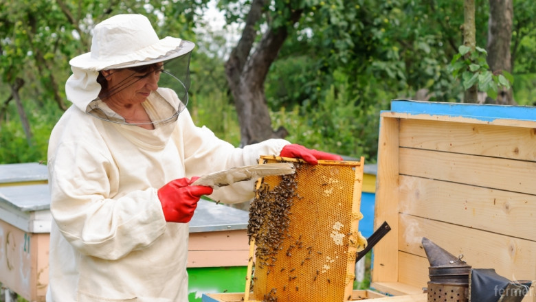 ДФЗ ще кредитира одобрени проекти по Пчеларската програма