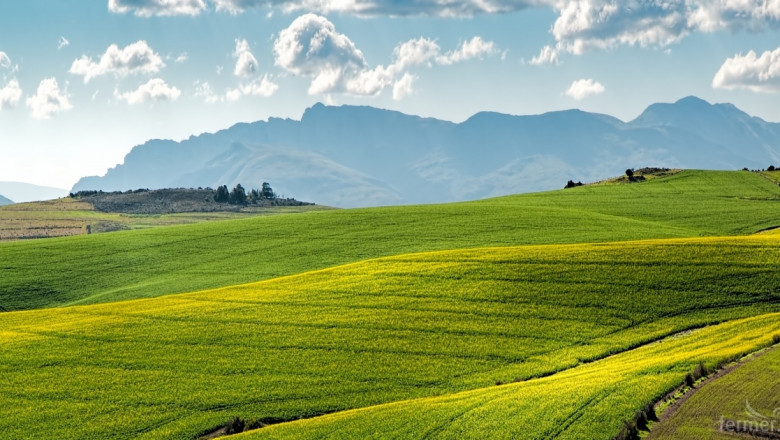 Количеството земеделска земя в ЕС ще продължи да спада до 2030 г.