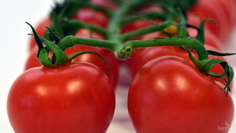 Производството на домати в ЕС няма да расте до 2030 г.