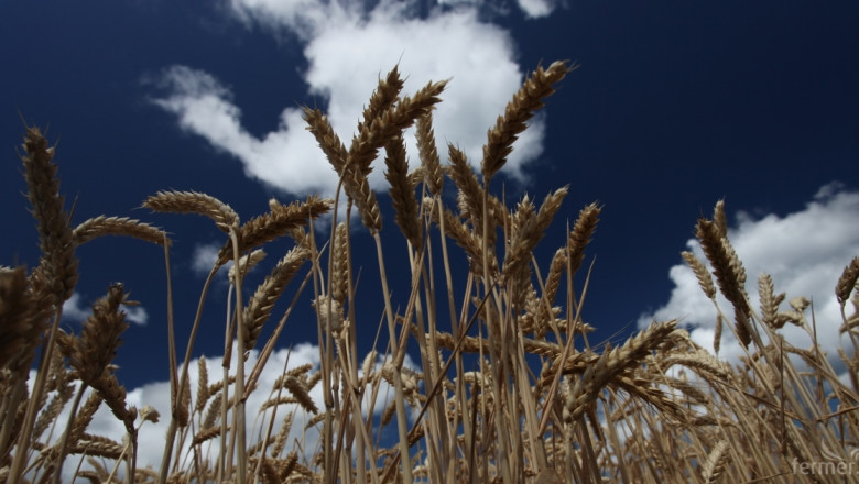 Украинските земеделци изнесоха почти 19 млн. тона зърно