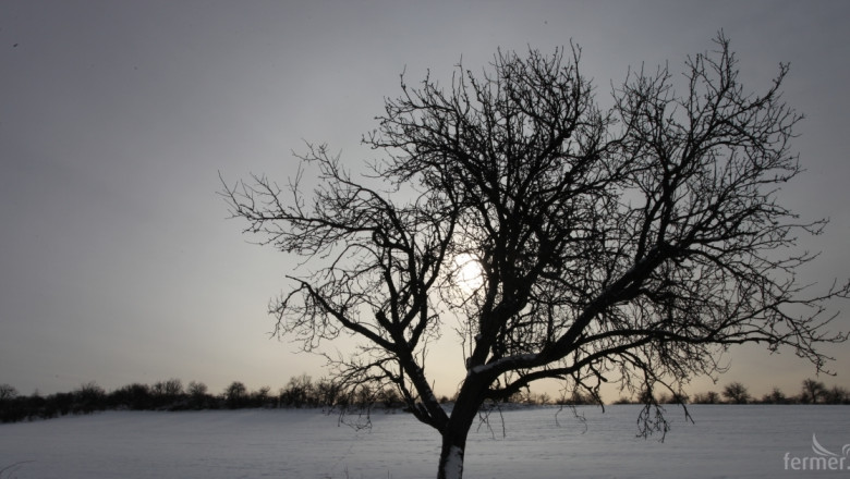 Агрометеорология: Какво ще е времето през декември? 