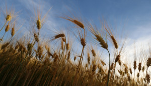 Фермерите в Русия са изоставили 97 млн. хектара селскостопански земи - Agri.bg