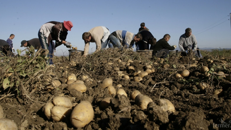 Расте делът на заетите в селското стопанство в България