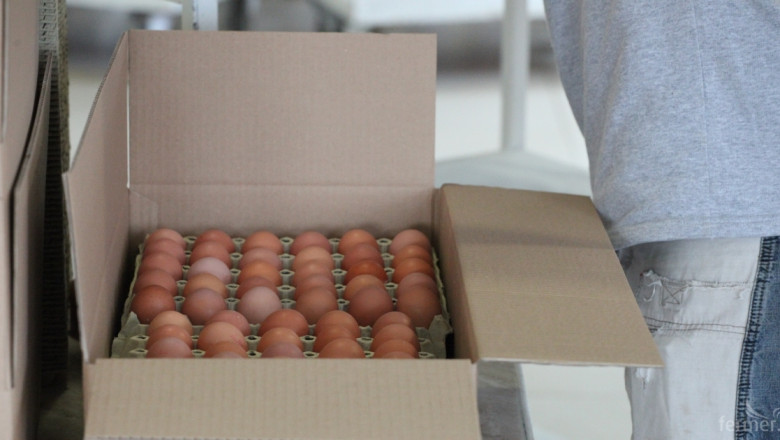 ЕС въведе промени в стандартите за търговия с яйца