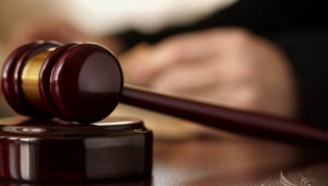 Съдът отменя правила за подмярка 4.1 с бюджет 237 млн. евро  - Agri.bg