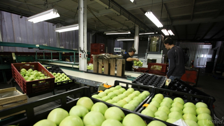 Агроиновации: Кръгова икономика при производството на плодове и зеленчуци 