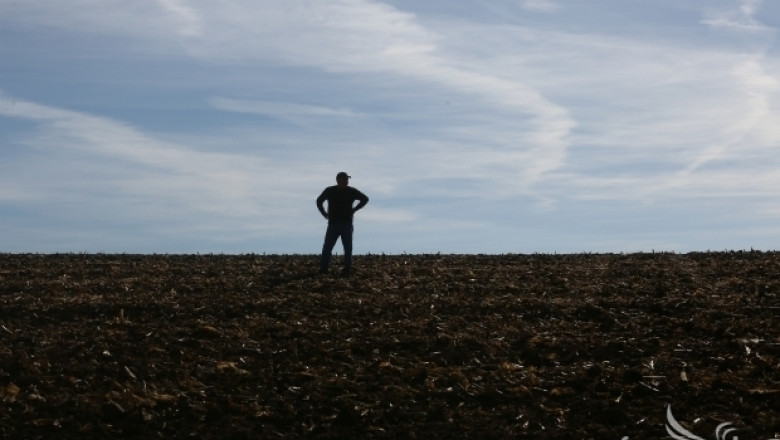 Експерт: Родните земеделци не се отличават от другите в целия свят