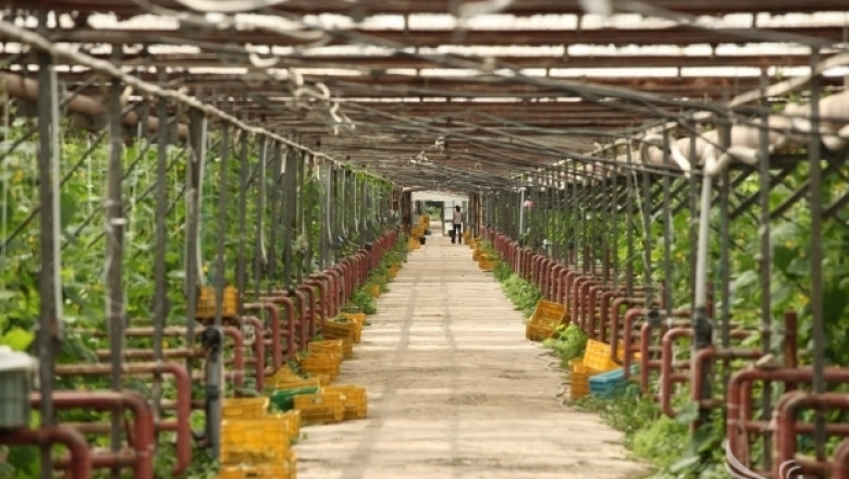 Наши оранжерийни производители на работно посещение в Испания 